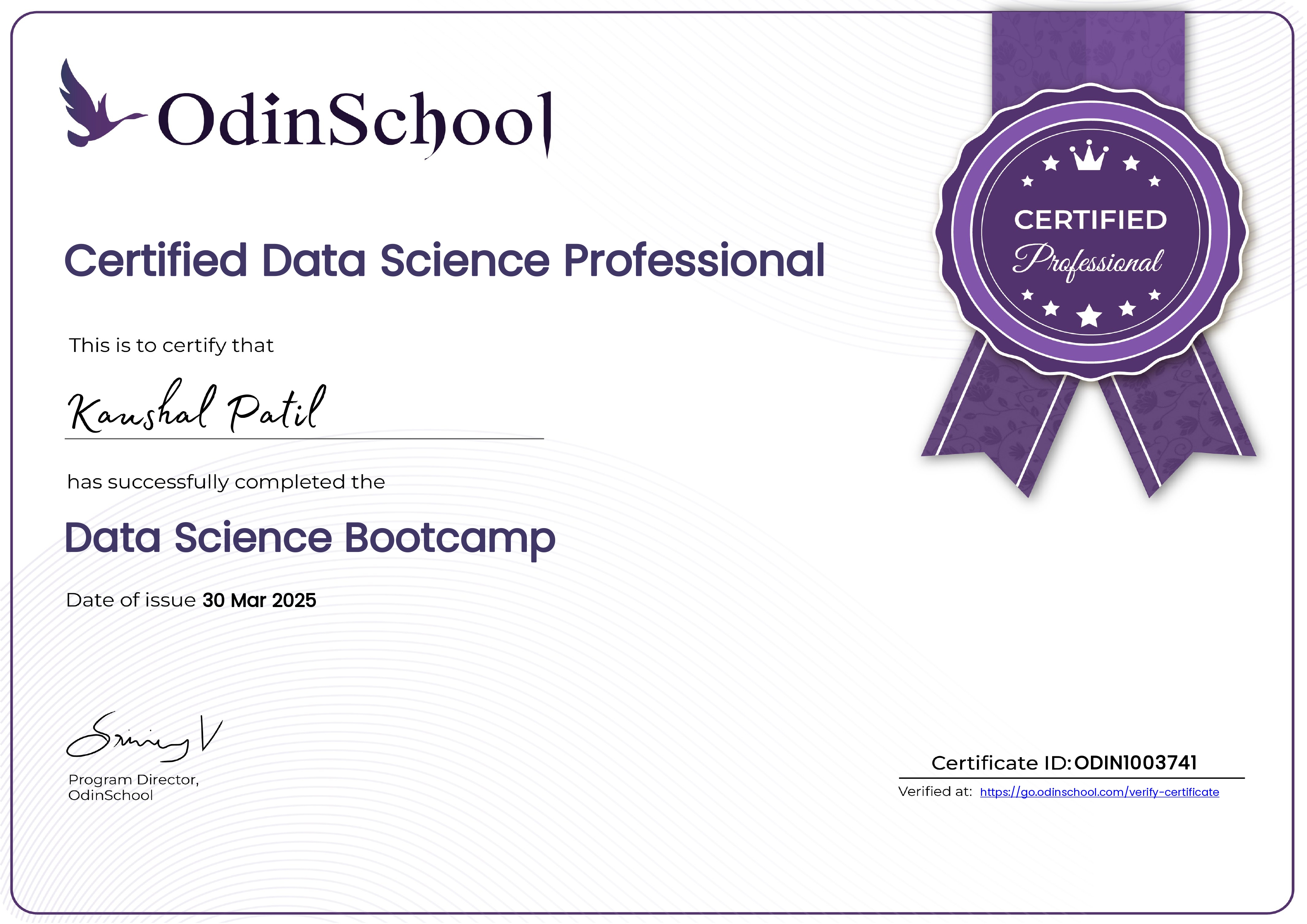 Data Science Bootcamp certification